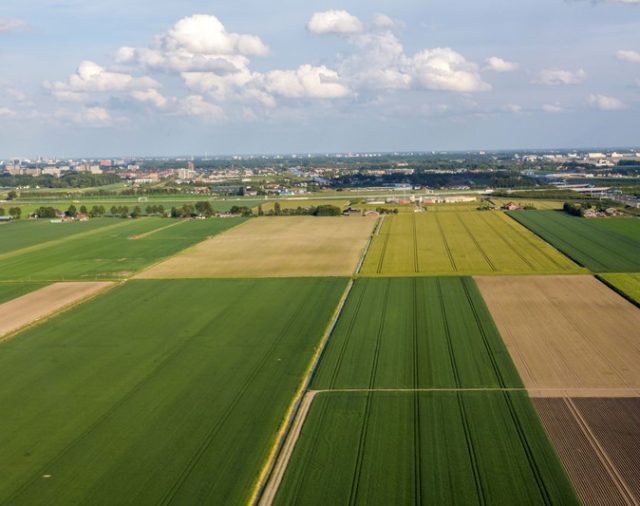 Regelgeving scheuren grasland